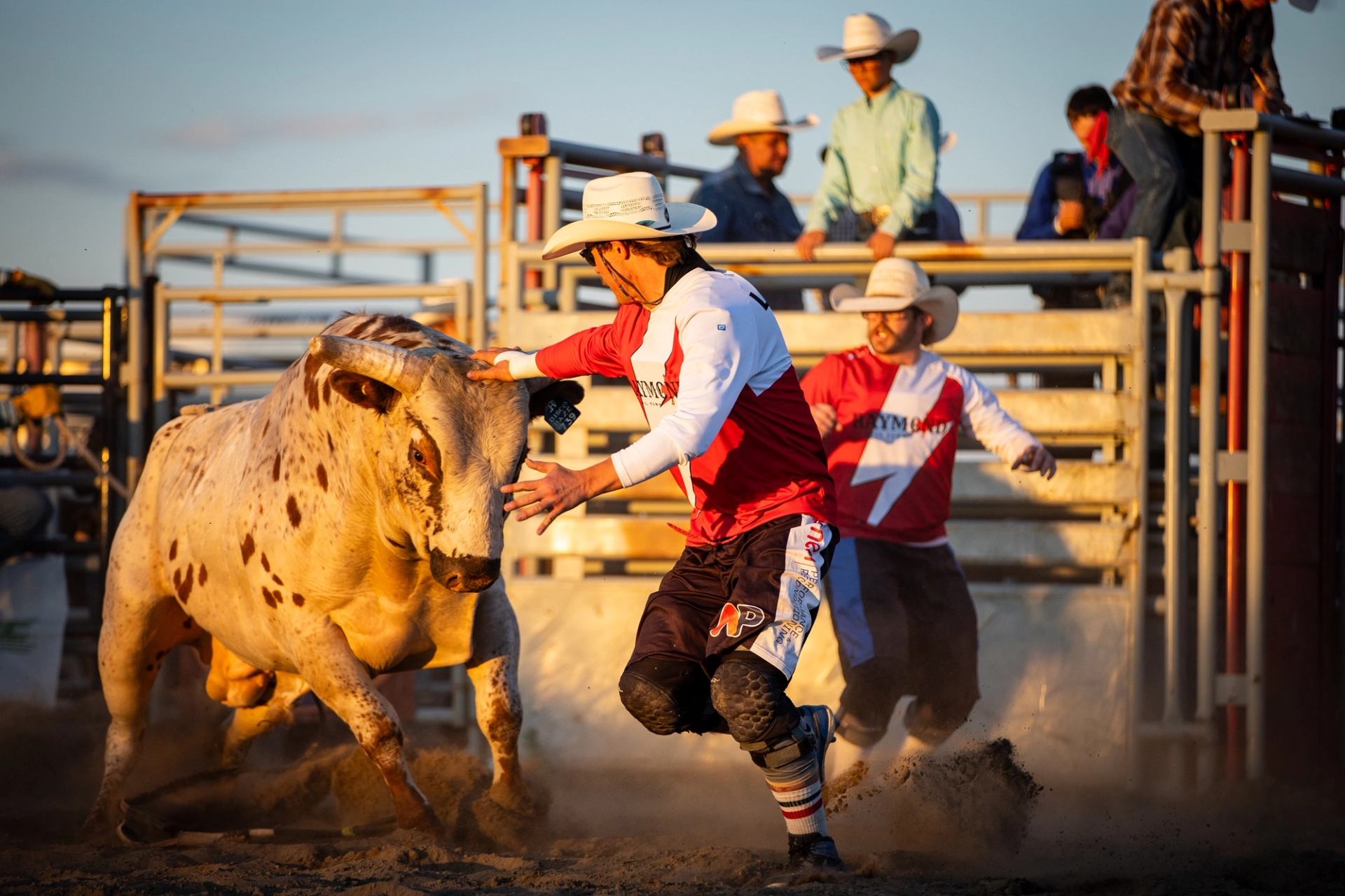 Rodeo bull charges toward rodeo clown in arena as spectators watch from metal stands.