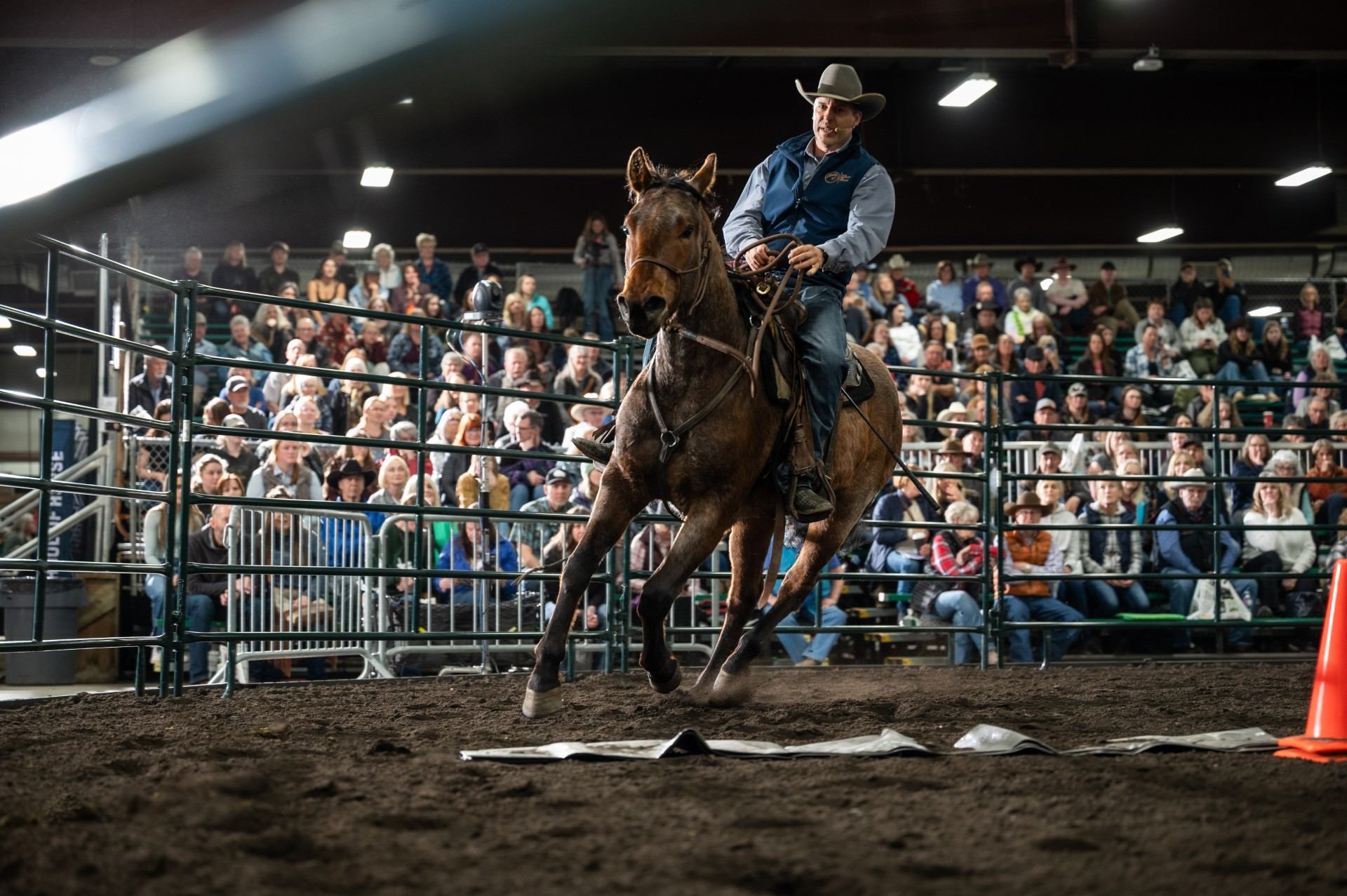 Horse and rider trot in an indoor arena before seated spectators behind railings.