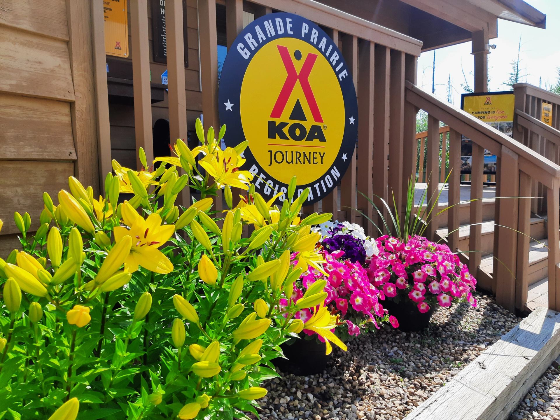 KOA Grande Prairie registration sign beside wooden steps and bright yellow and pink flowers.