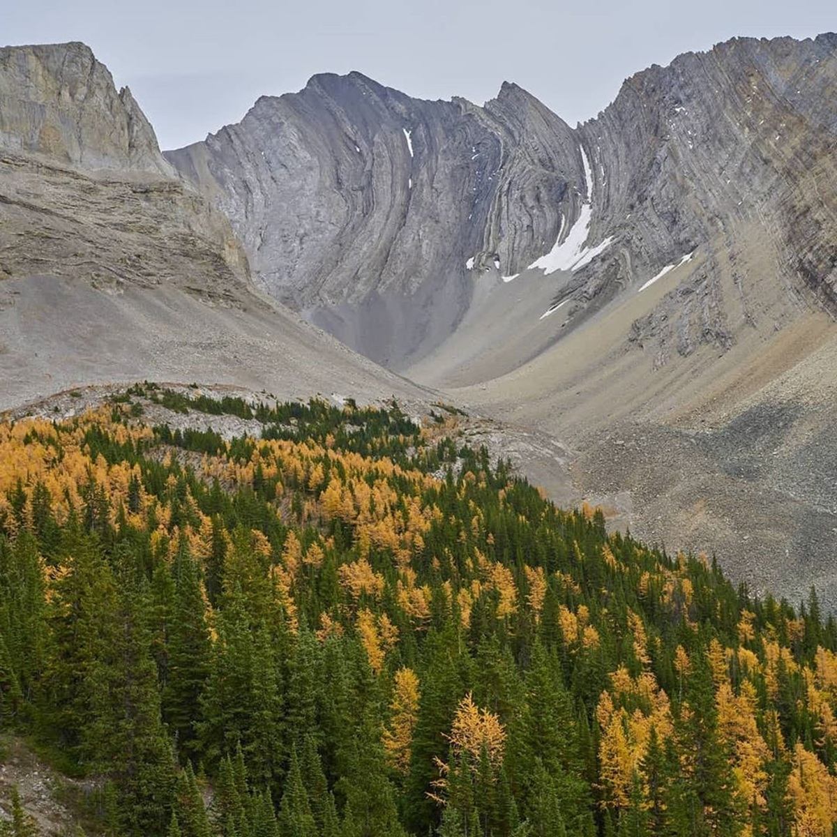 Close-up of folded mountain rock above forest in fall.