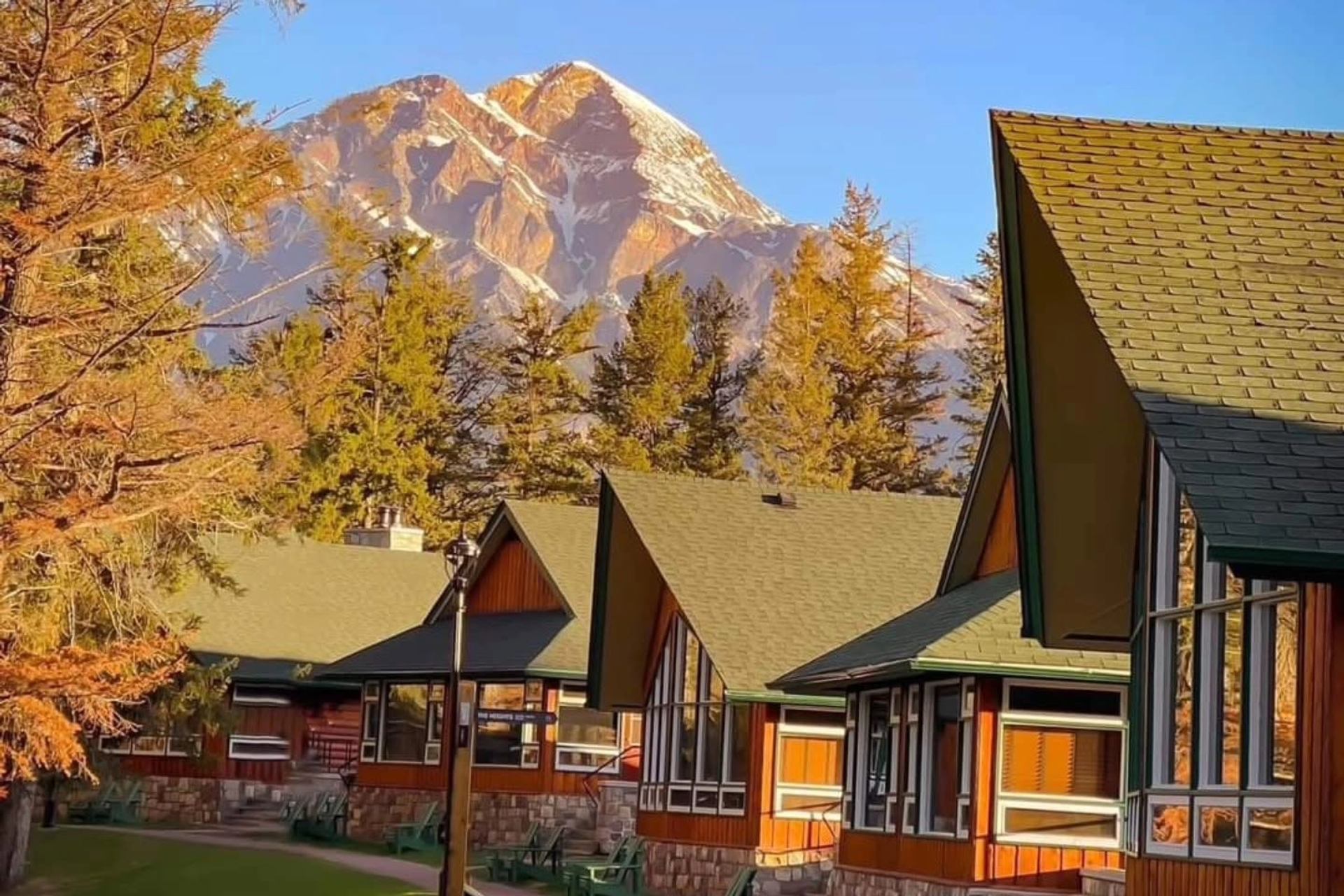 Wooden cabins with green roofs among tall trees, with a rocky mountain in background.