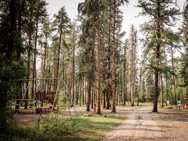 Playground swing set in a forest clearing at Harmon Valley Park.
