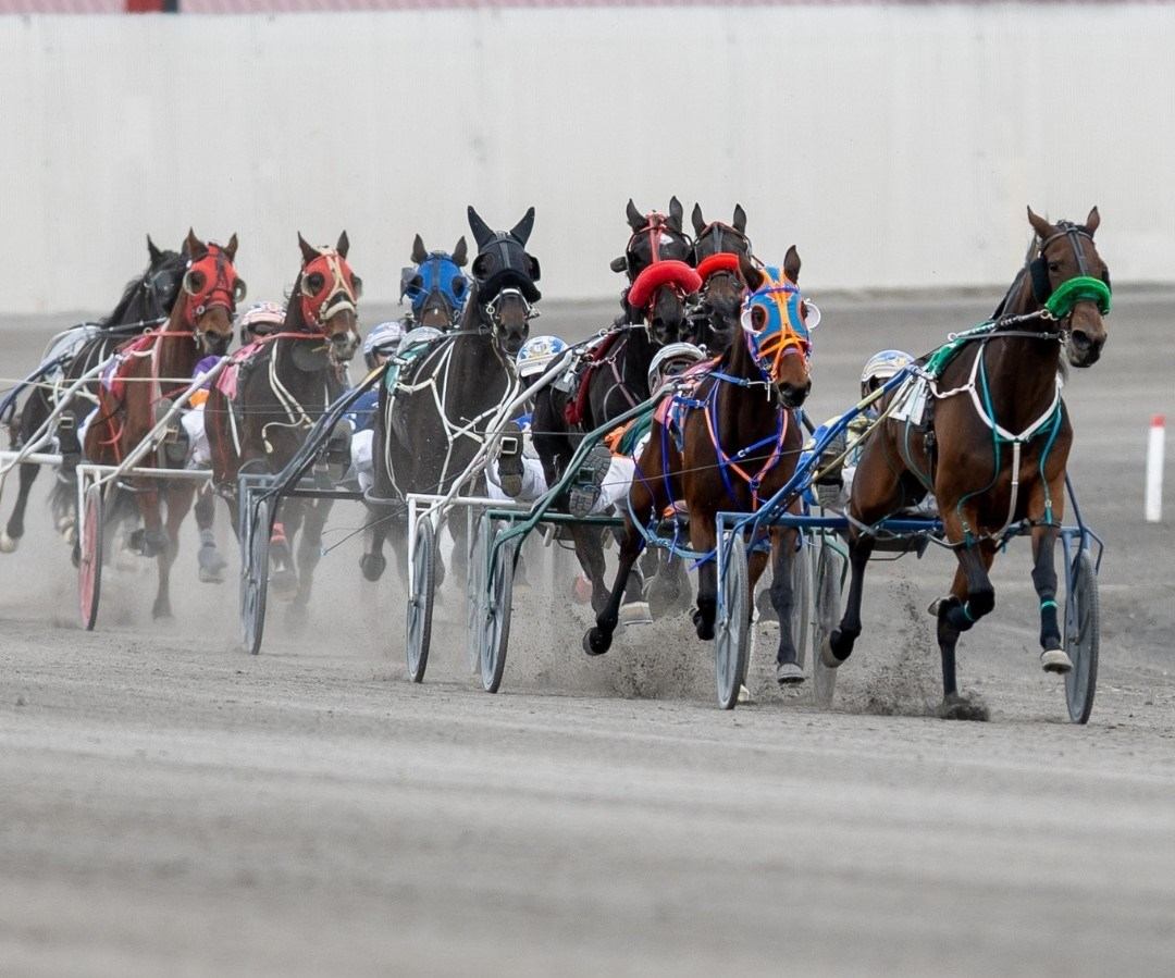 Eight racehorses pull chariots and drivers around a racetrack.