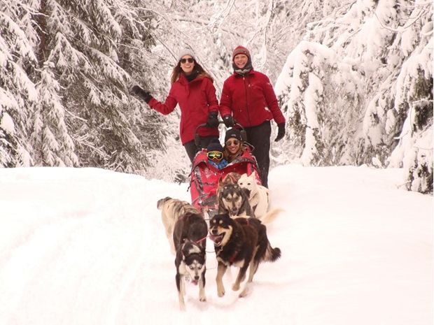 A sled dog team pulls a family through a snowy wooded path.