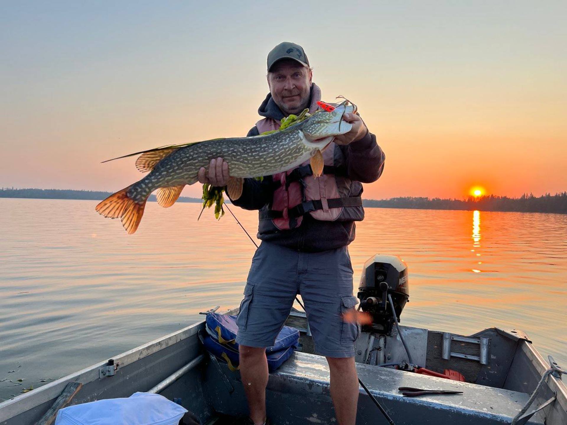 Person in a boat lifting a large fish as the sun sets over the lake.