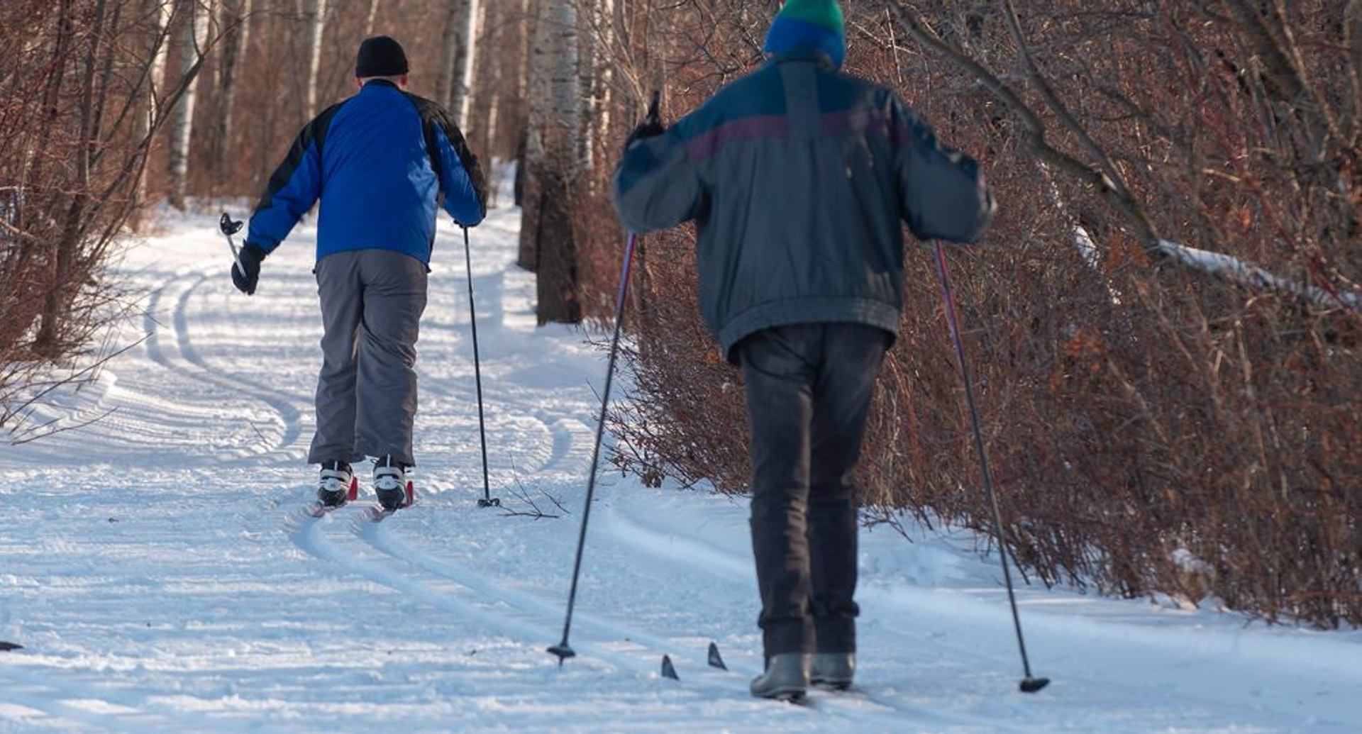 Two people cross-country ski along a snowy forest trail lined with bare trees.