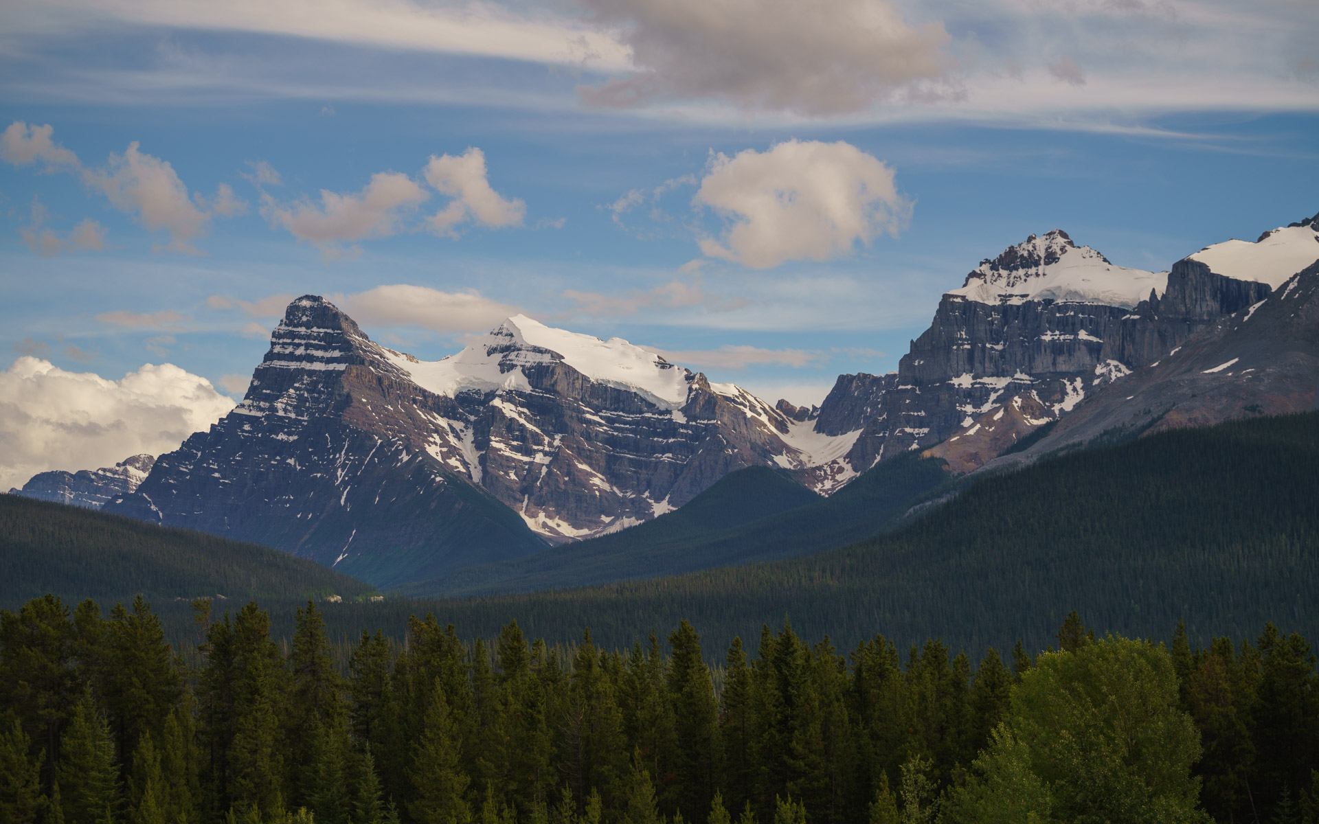 Mountain range with snow-covered peaks rising above a dense evergreen forest.