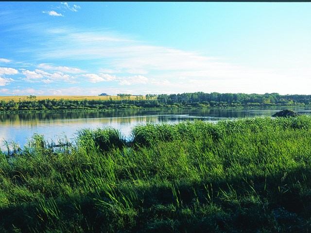 Calm lake bordered by tall grasses and green fields under a partly cloudy sky.