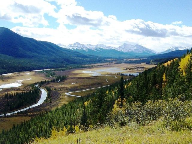Rock Lake Provincial Park | Canada's Alberta thumbnail
