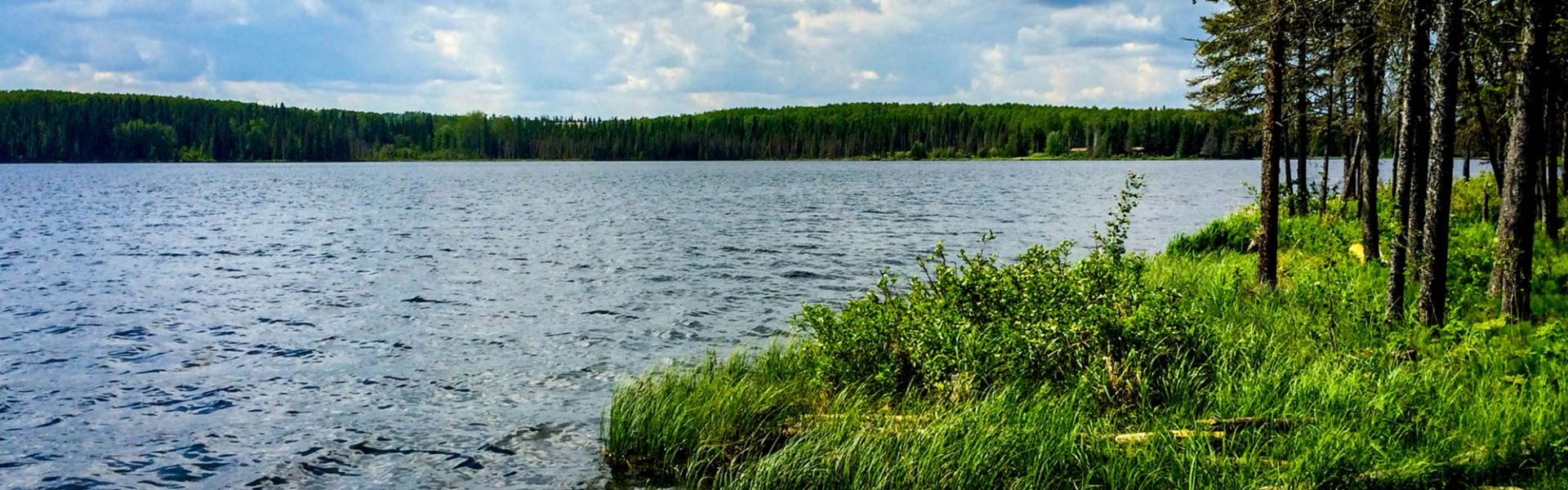 Lakeshore with rippling water, grassy bank, and dense forest under cloudy sky.