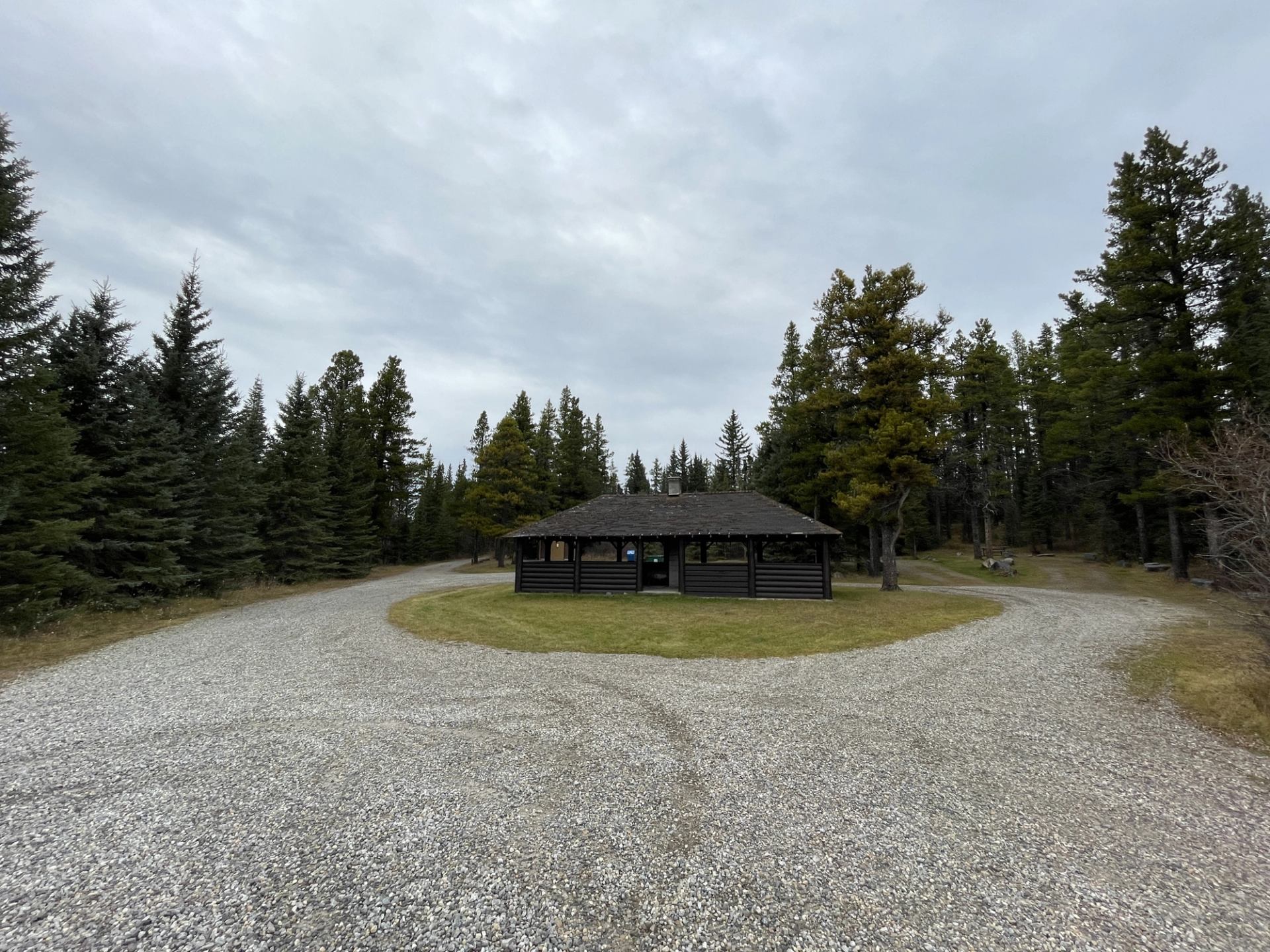 Wooden picnic shelter stands between two gravel driveways, surrounded by tall evergreen trees.