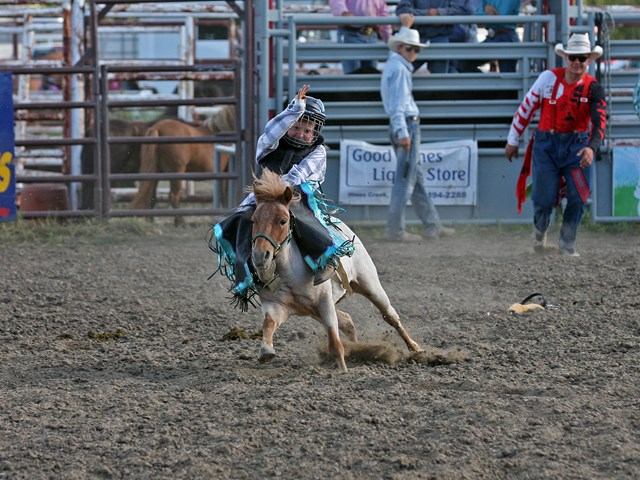 Rodeo rider on a bucking horse in an arena, with cowboys near metal chutes.