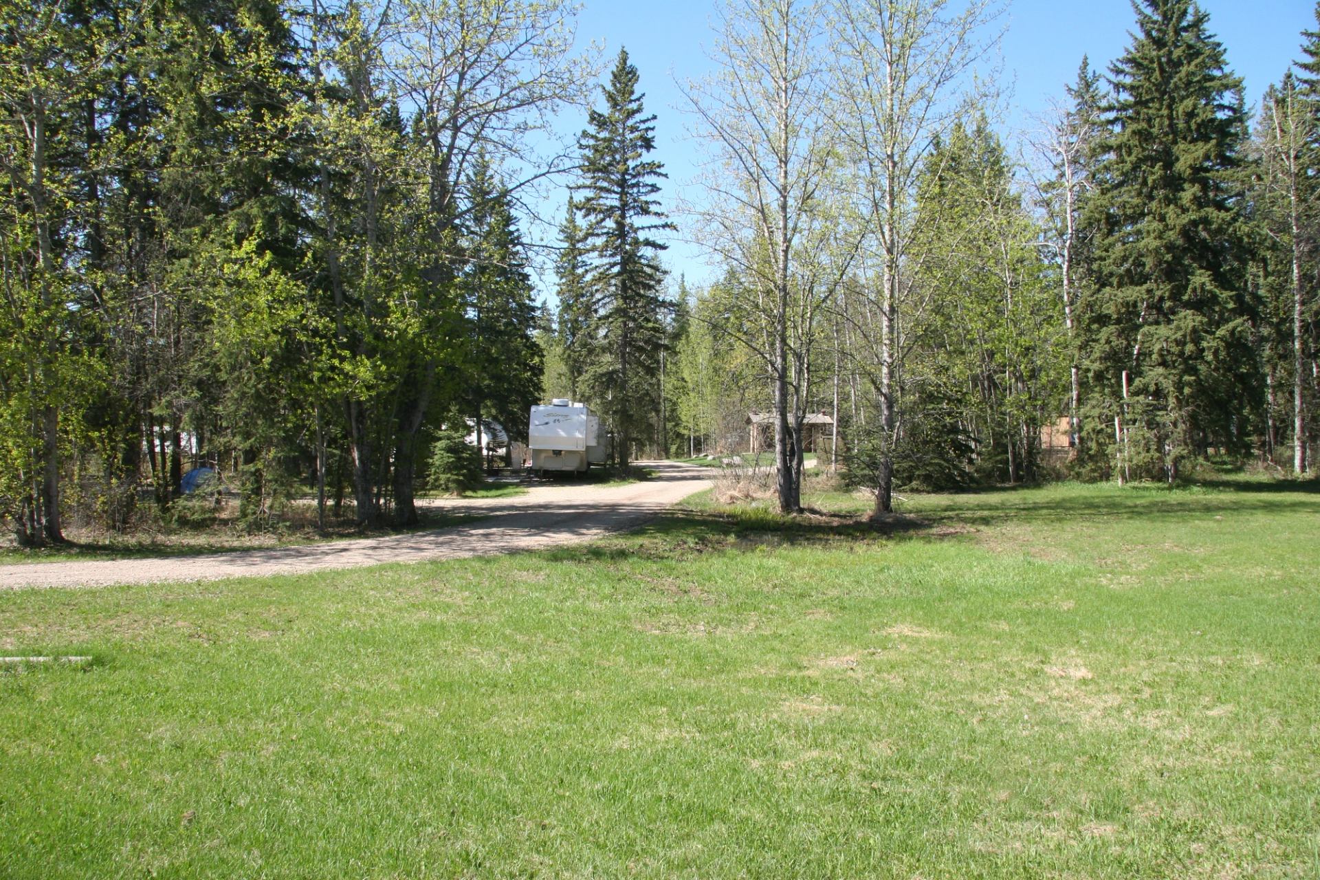 RV parked near dirt path in grassy field surrounded by trees at Williamson Campground.