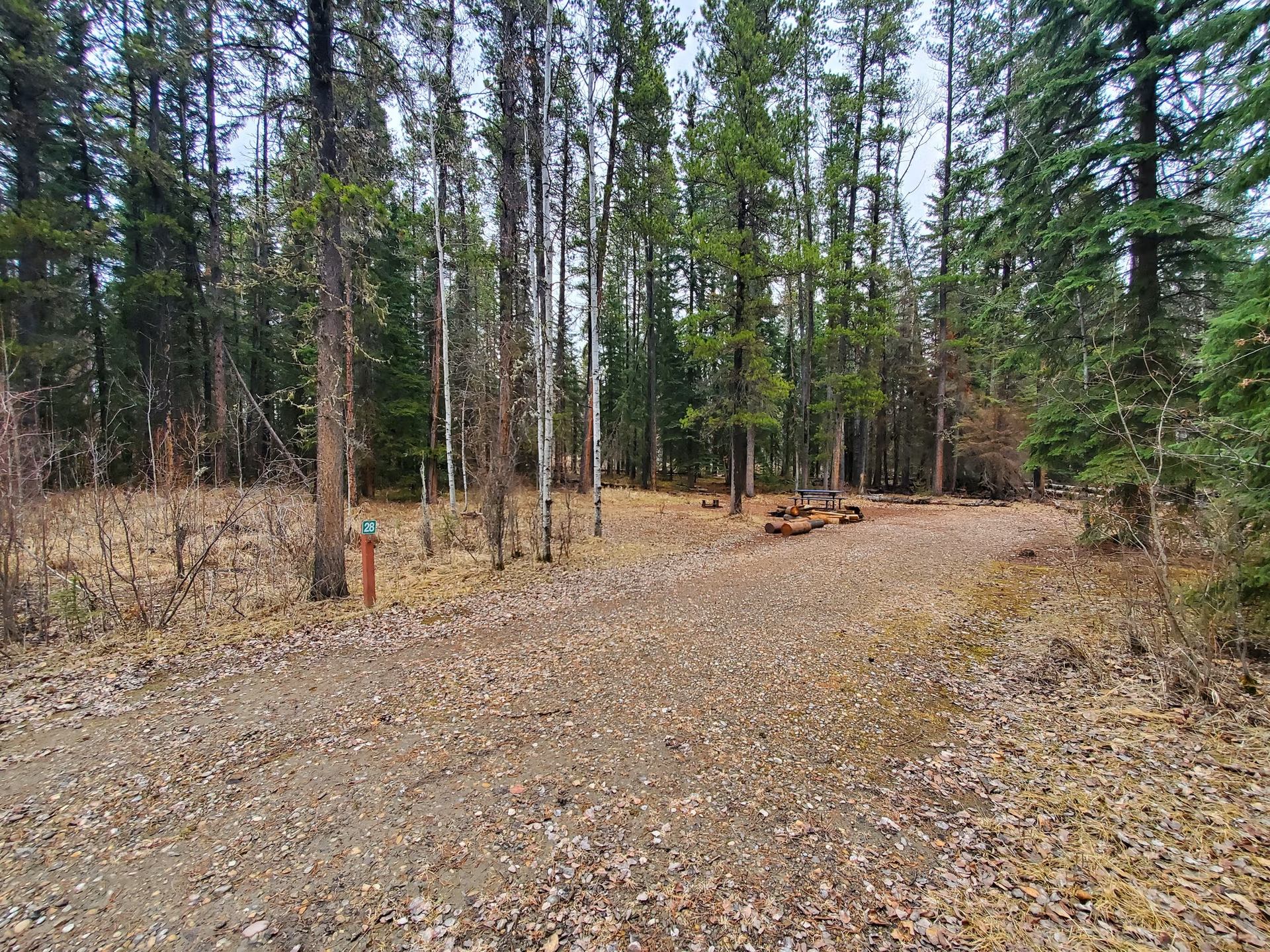 Forest campsite with gravel clearing, picnic table, fire ring and numbered post.
