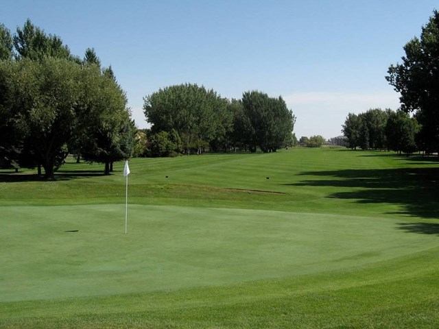 Scenic golf course with putting green, fairway, and trees under a clear blue sky.