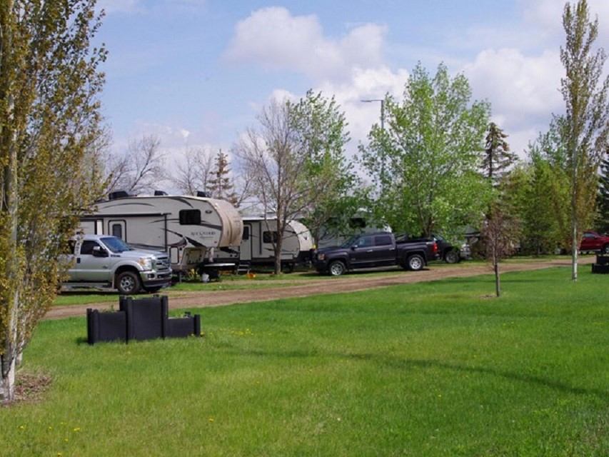 RVs and trucks parked on grassy sites surrounded by trees at a sunny campground.