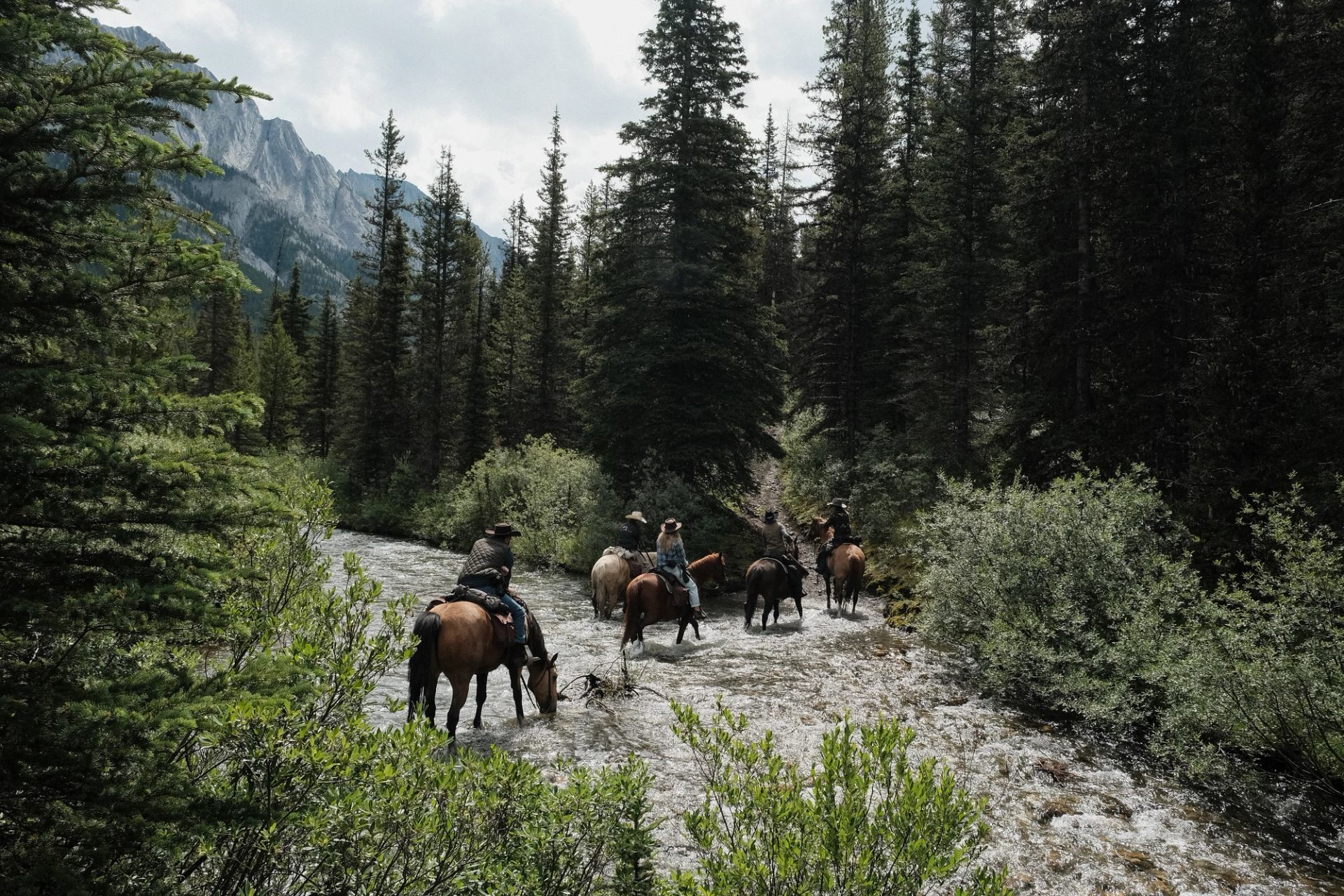Group riding horses through a shallow stream surrounded by dense forest and mountains.
