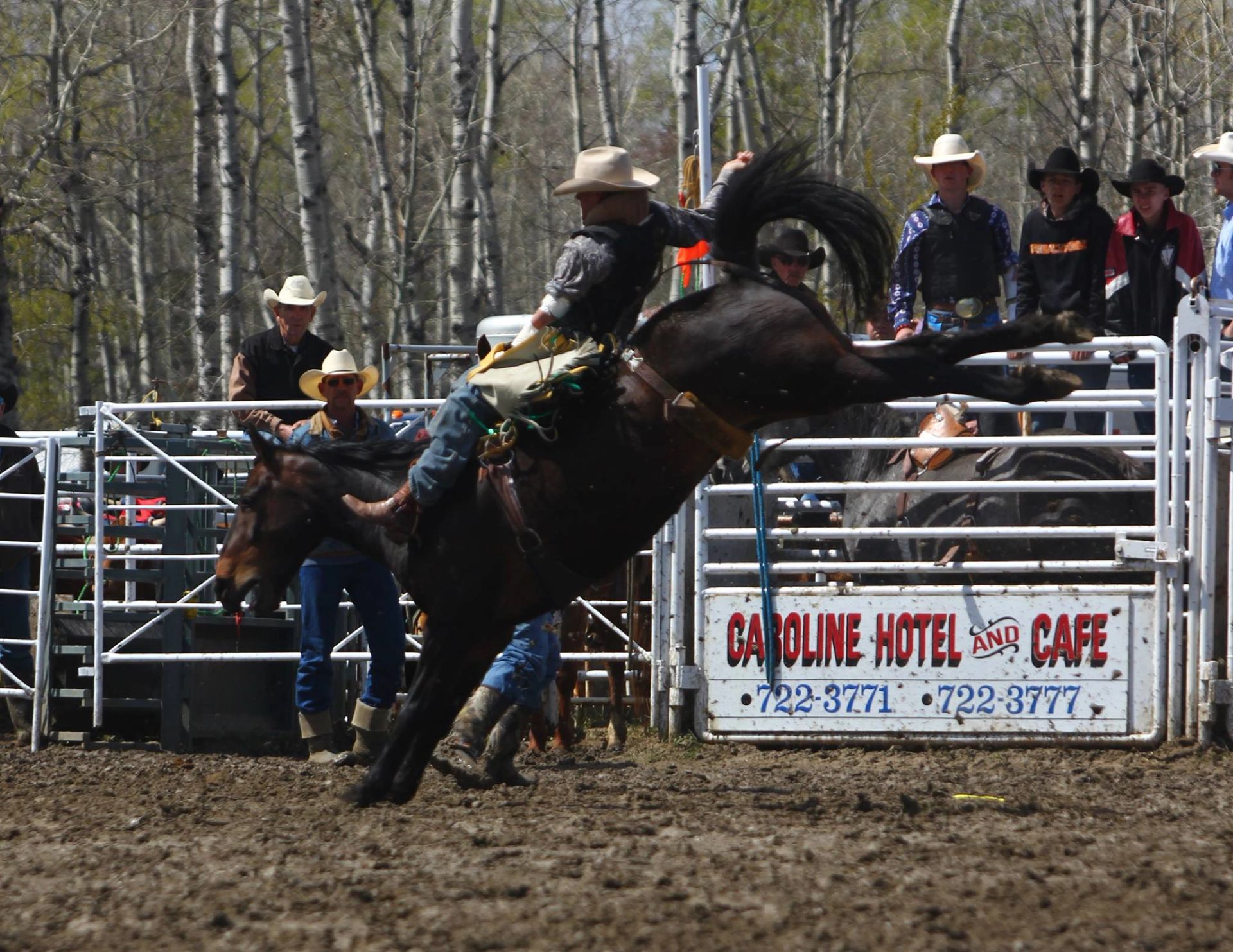 Rider holding on to a bucking horse