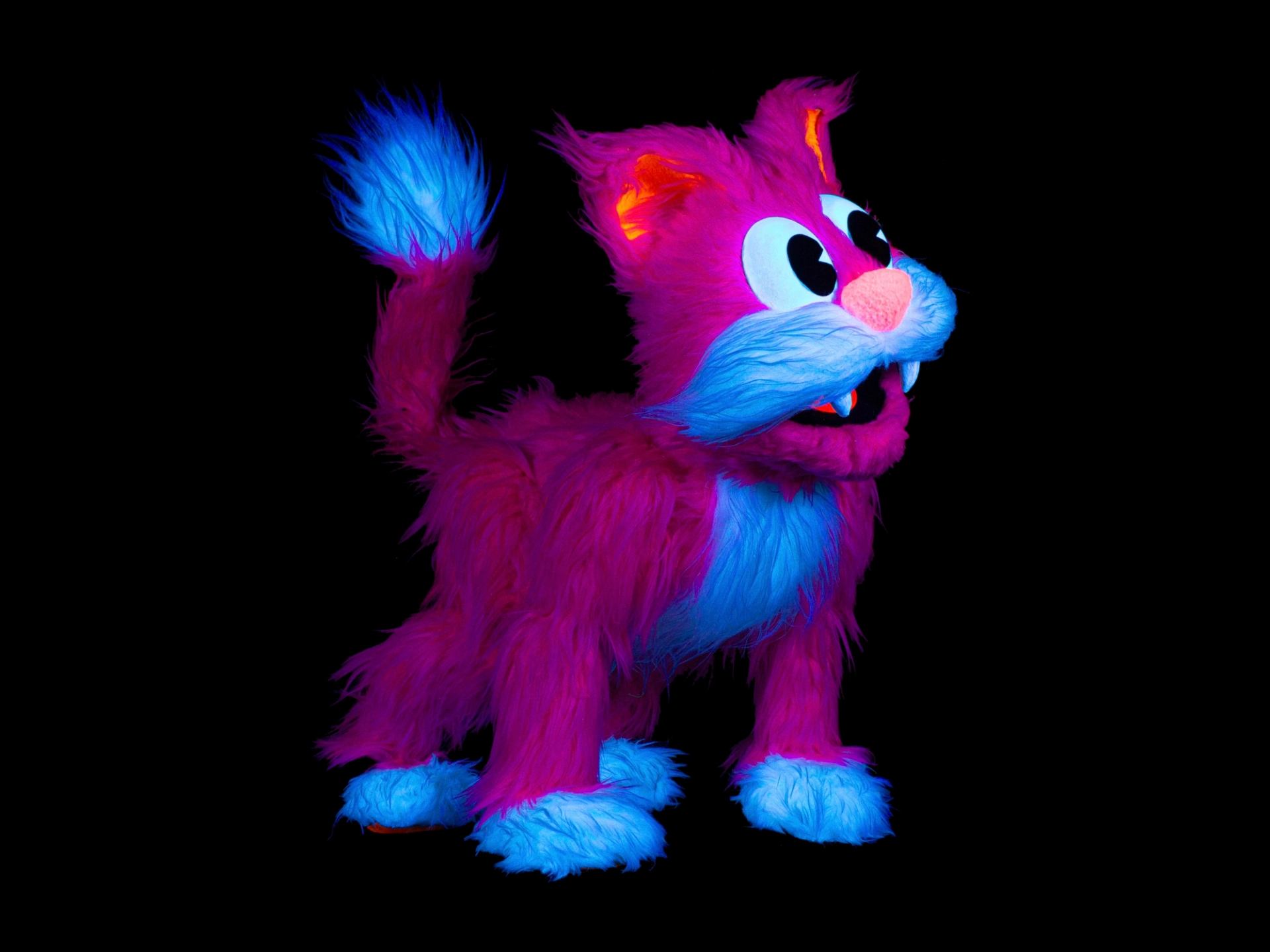 Neon pink and blue cartoon cat figure with fluffy fur on a black background.