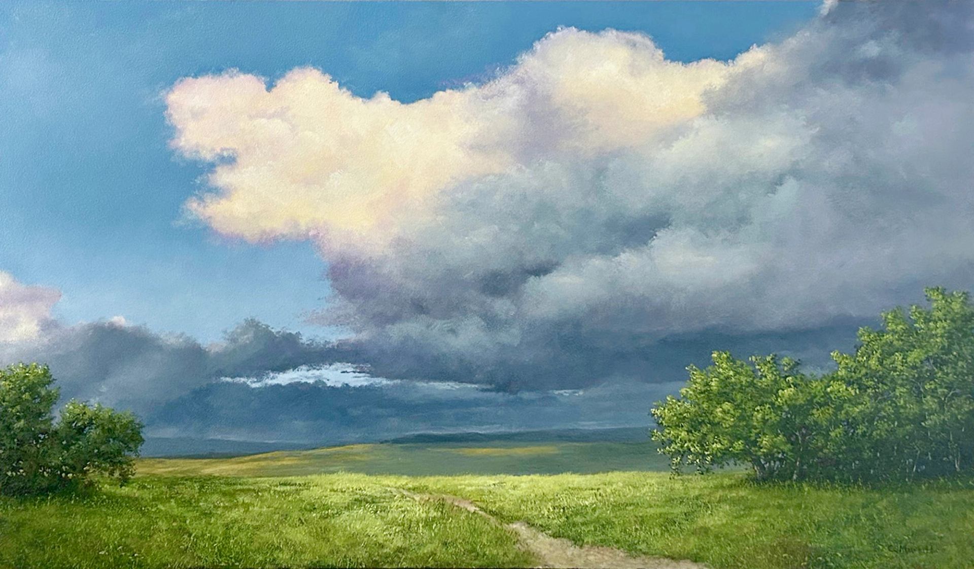 Green field with dirt path under large billowing clouds and blue sky.