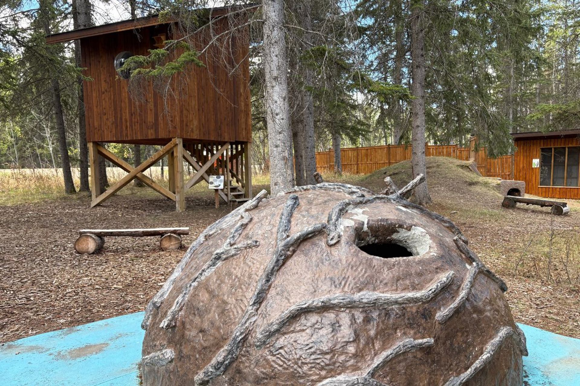 Medicine River Wildlife Centre outdoor area featuring a wooden tower, natural climbing structure, and forested surroundings.