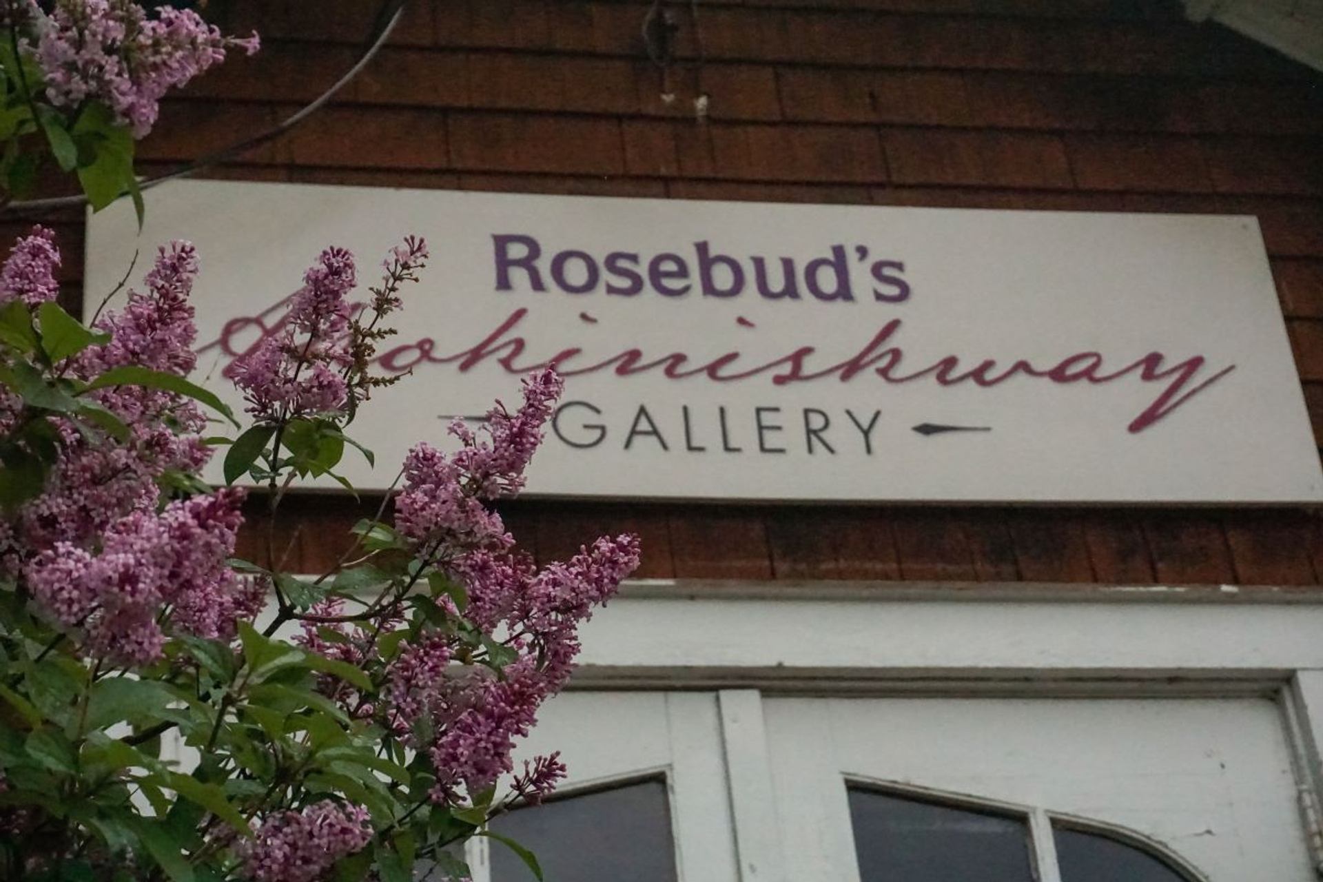 A sign for "Rosebud's K'ohinishway Gallery". The sign is partially obscured by flowering lilac branches. 