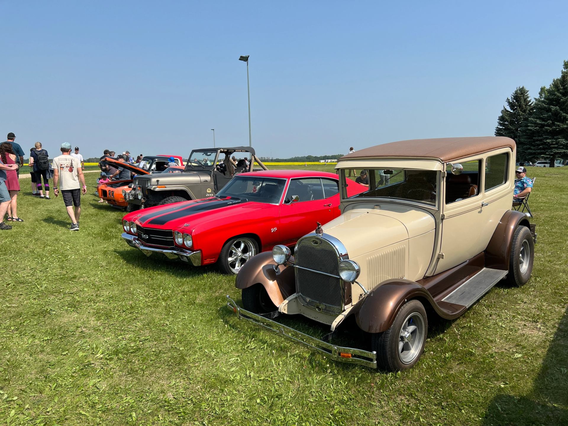 Variety of restored classic cars parked in a row at a show.