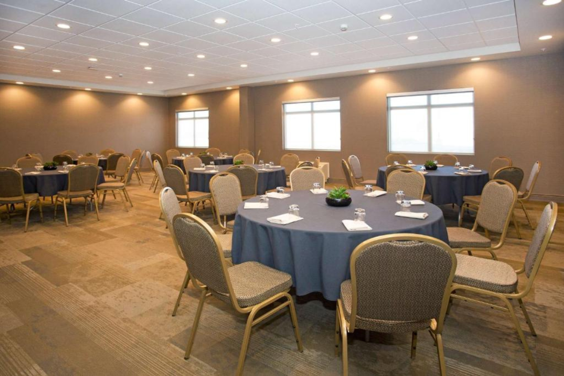 Banquet room with round tables, chairs, place settings, and soft lighting.