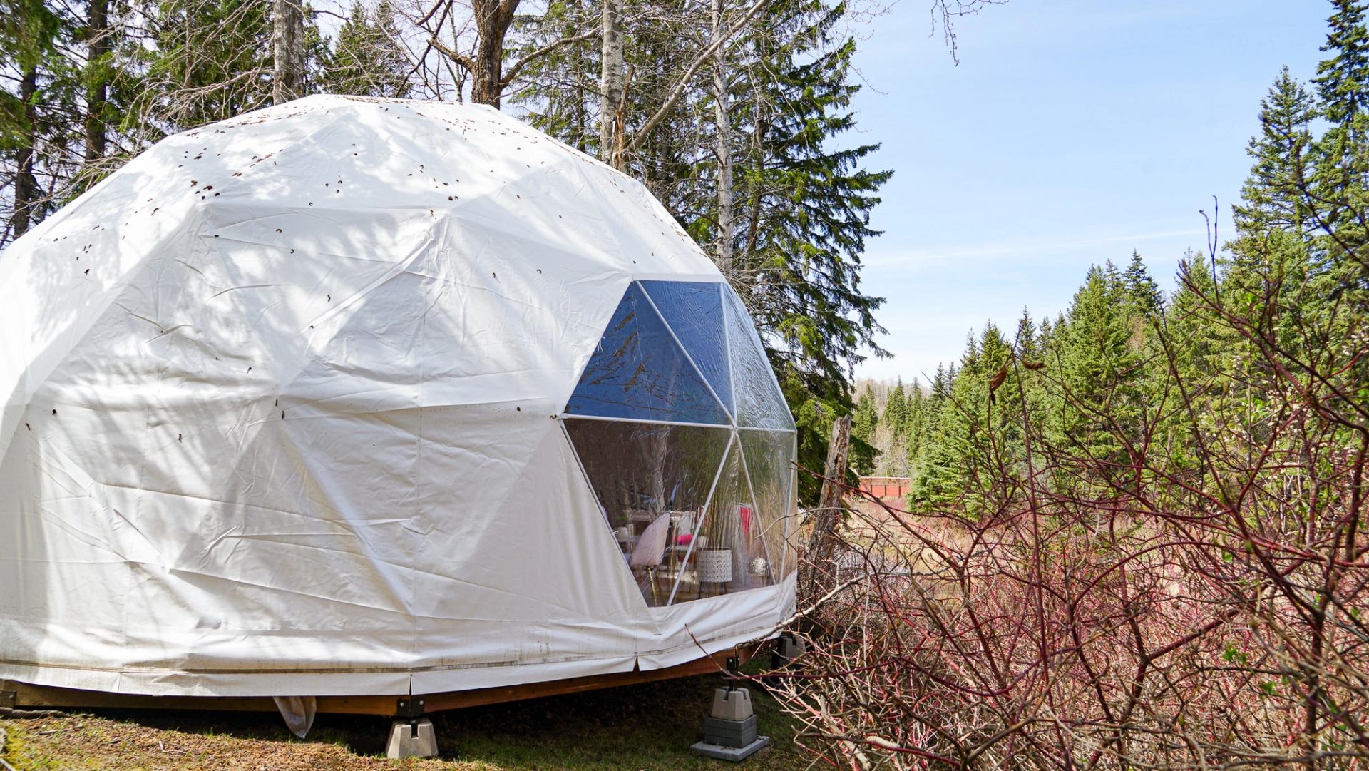 A glamping dome nestled in the woods with a creek beside it.
