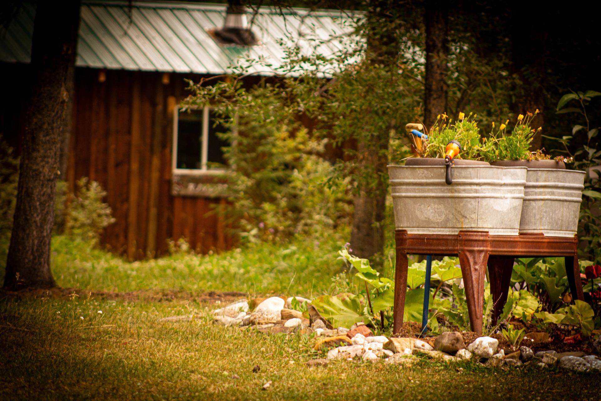 Outside one of the cabins with planted flowers in pots.