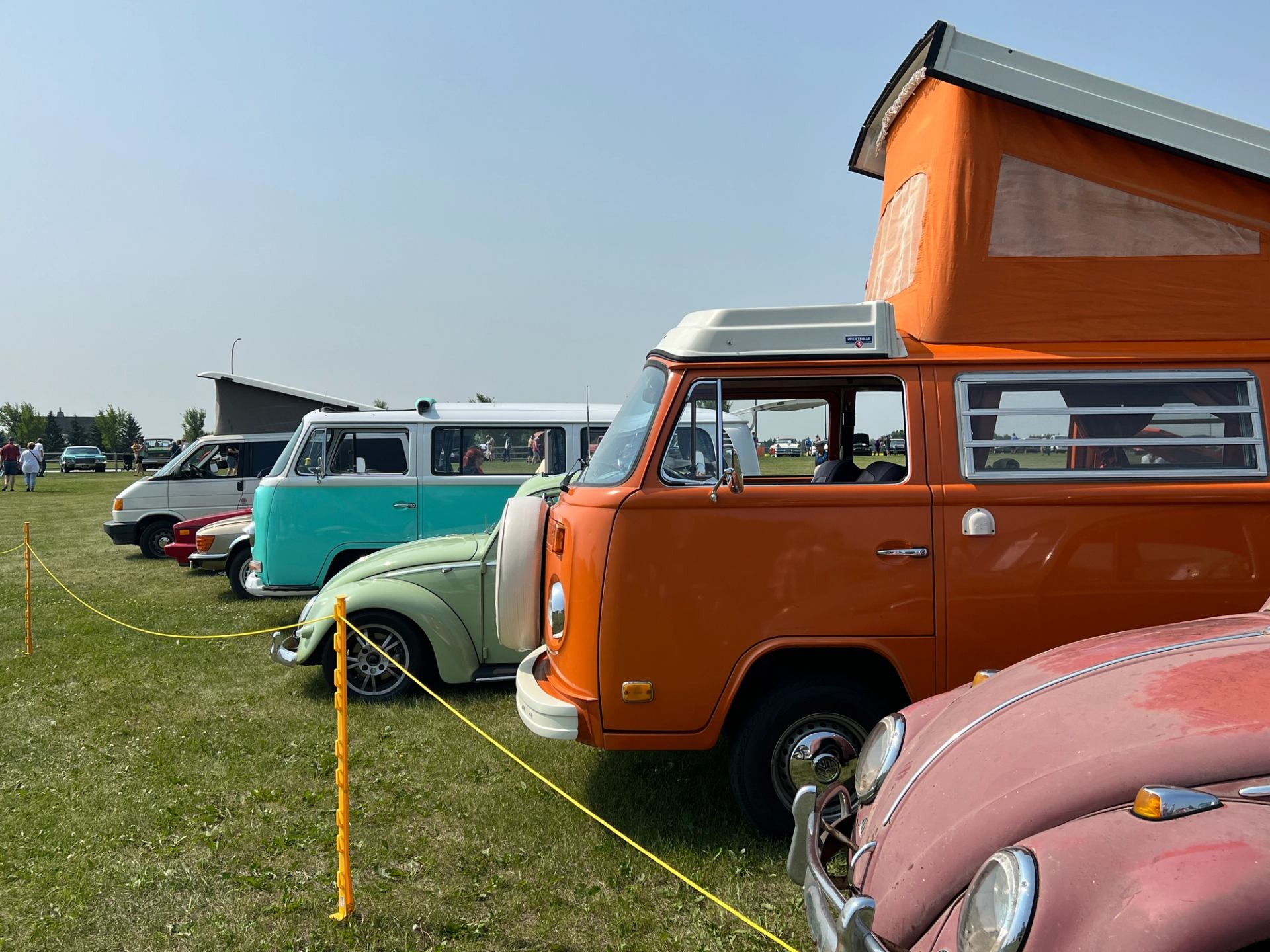 Row of vintage VW vans and cars displayed on a grassy field.