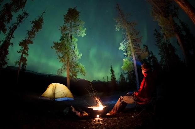 Person sitting by a campfire in the forest underneath the northern lights at night in the Jasper National Park Dark Sky Preserve.