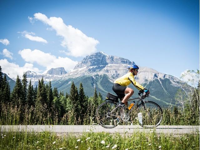 Cyclist riding through forested mountain roads under a clear sky.