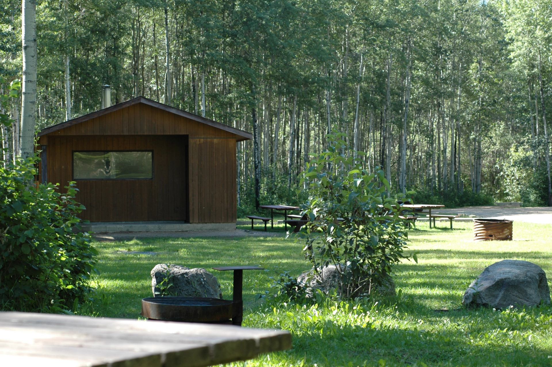 Wood cabin and picnic area surrounded by tall trees and grassy campsite.