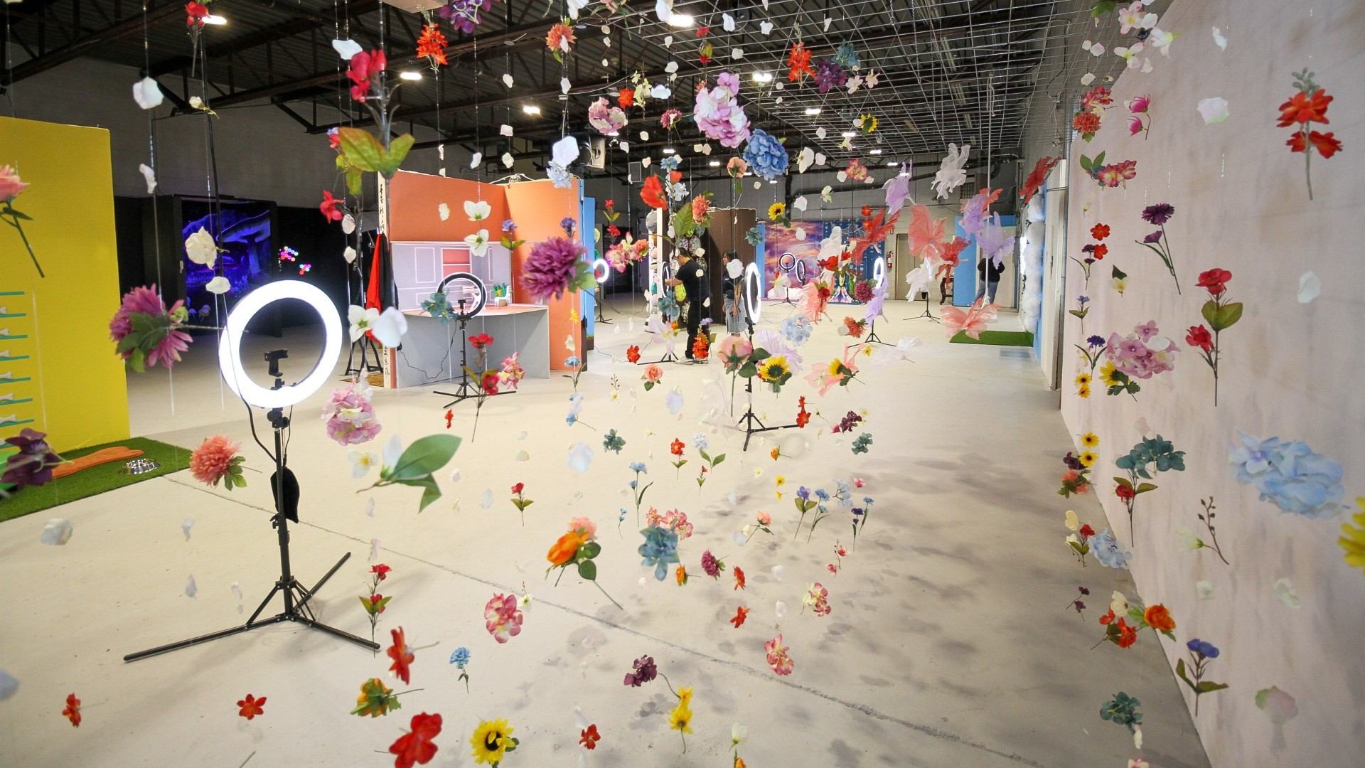 Art installation with suspended artificial flowers, ring lights and colourful photo backdrops in warehouse.