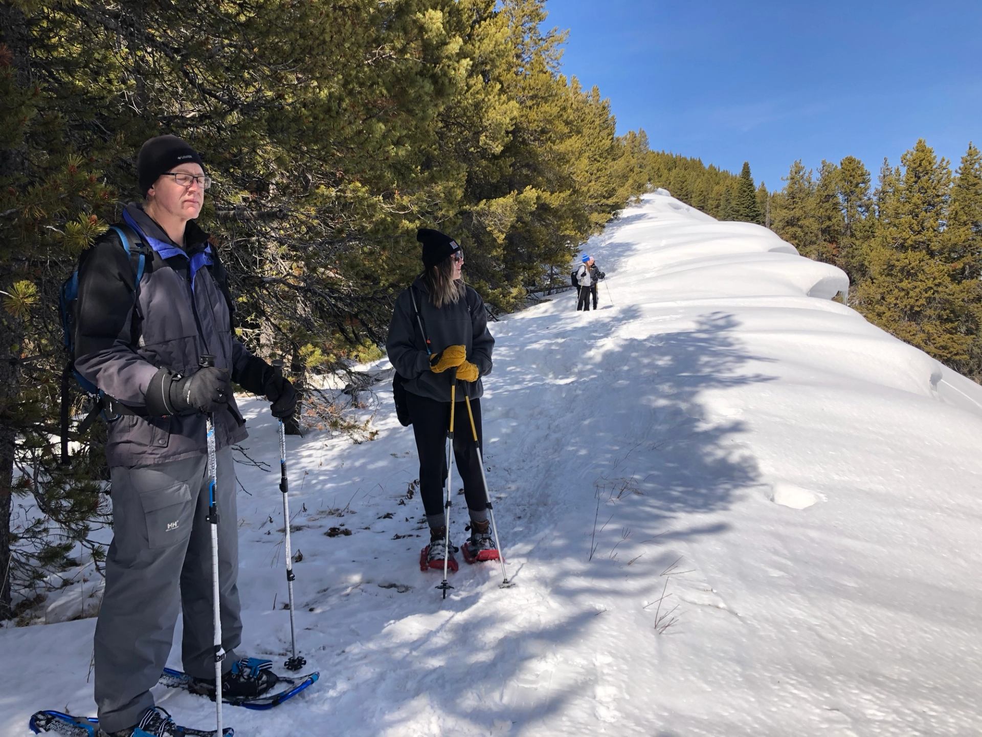 Snowshoers walking along a narrow snowy ridge bordered by evergreen trees.