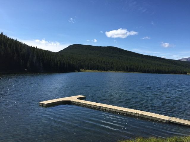 A dock going out into the lake.