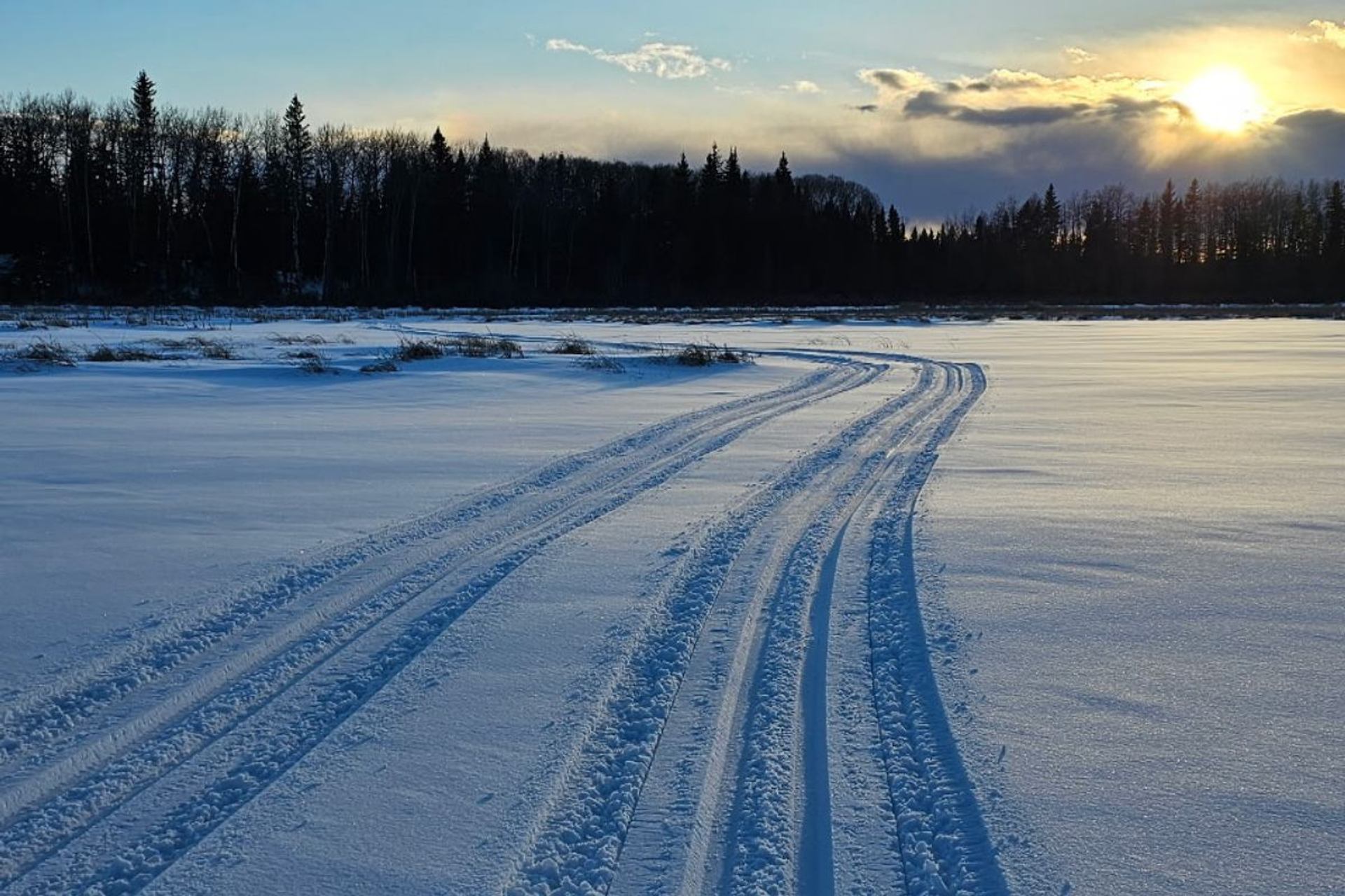 Medicine River Wildlife Centre features snowy trails across an open field with tracks leading toward a forest at sunset.