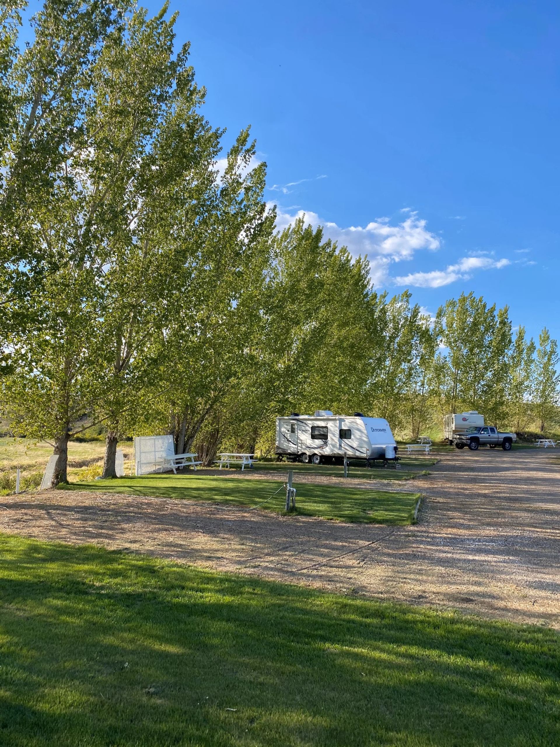 RV parked near tall trees at Ross Creek RV Park under a clear blue sky.