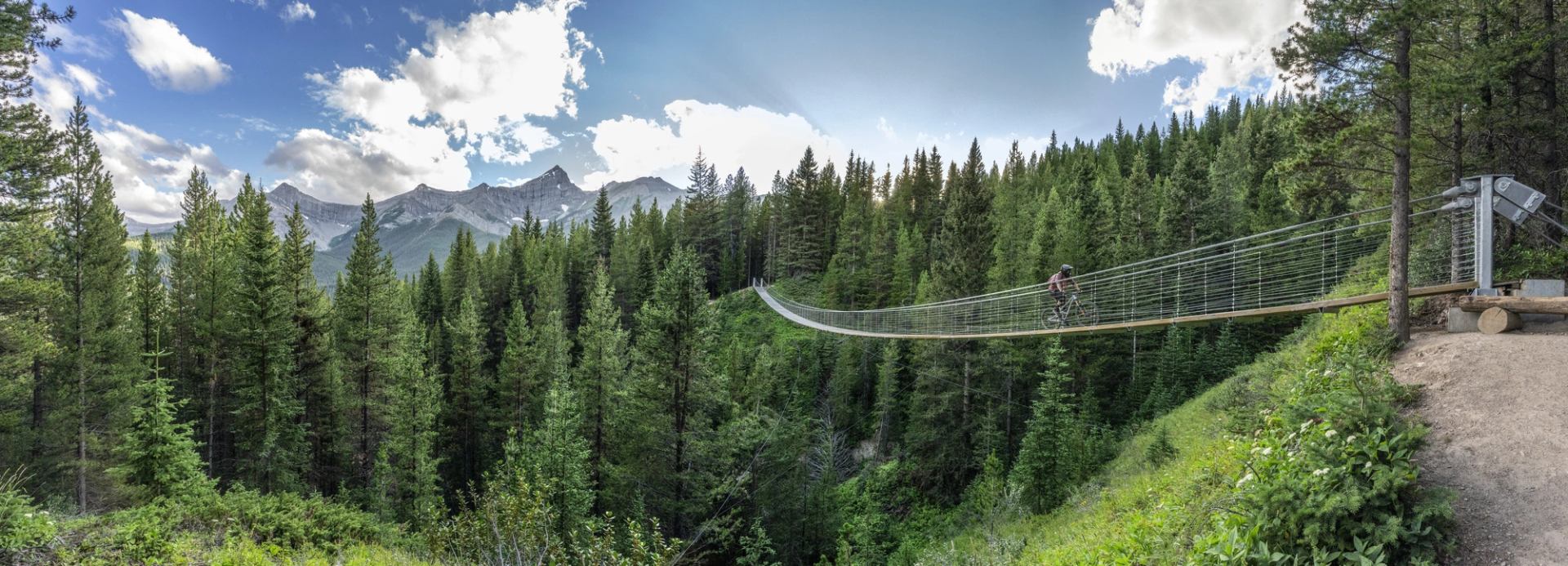 a person cycling across the Blackshale Suspension Bridge with a lush green forest below and mountains in the background