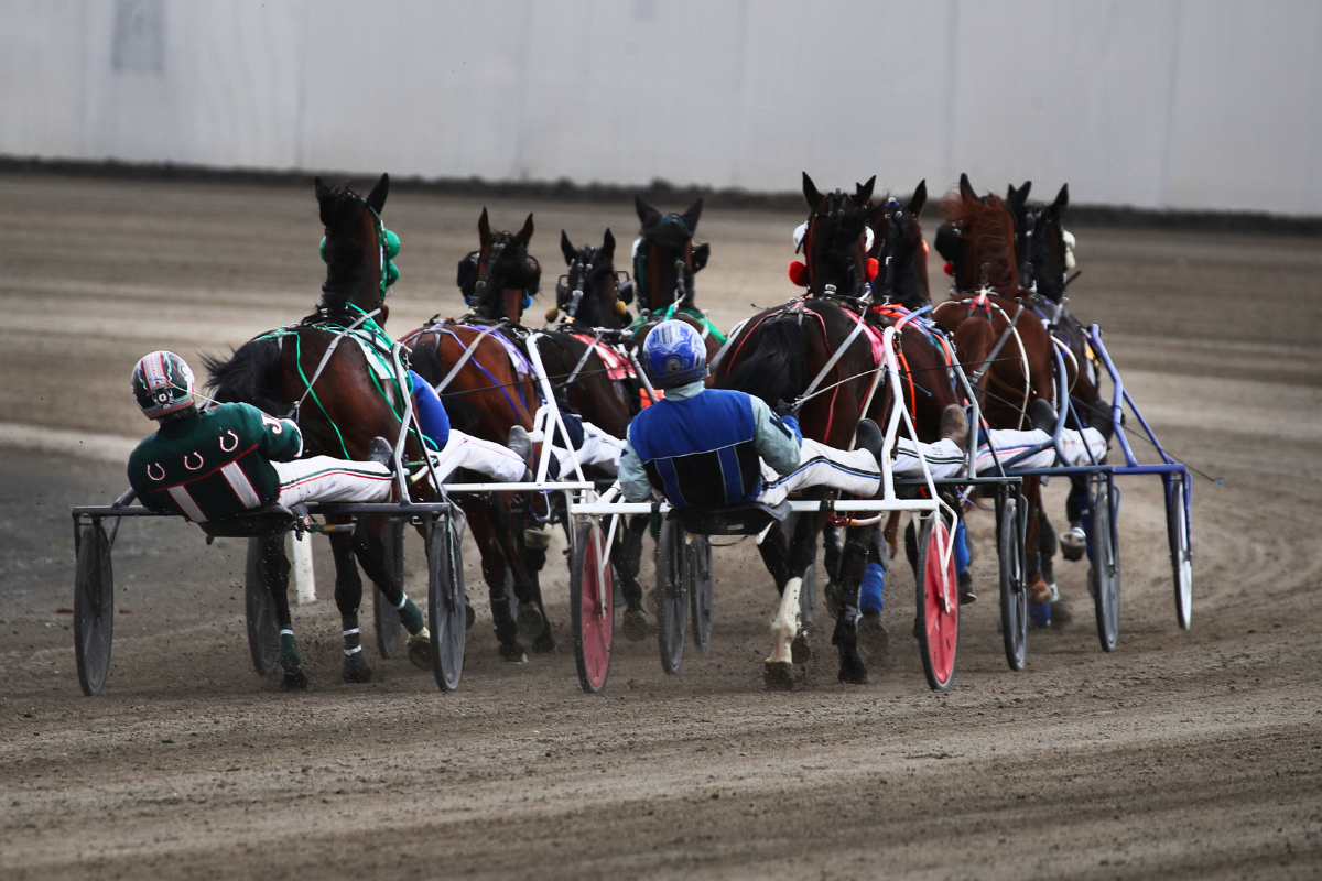 Standardbred racing