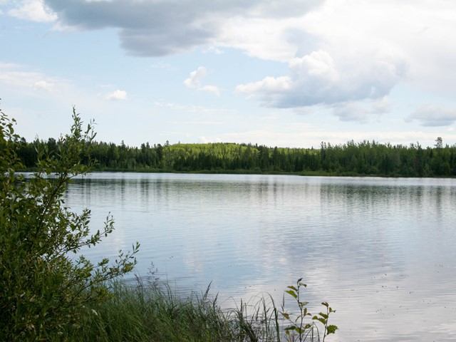 Calm lake surrounded by green trees under a partly cloudy sky