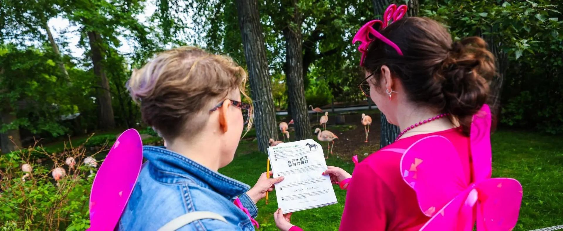 Two people in pink costumes read a worksheet near flamingos in a zoo.