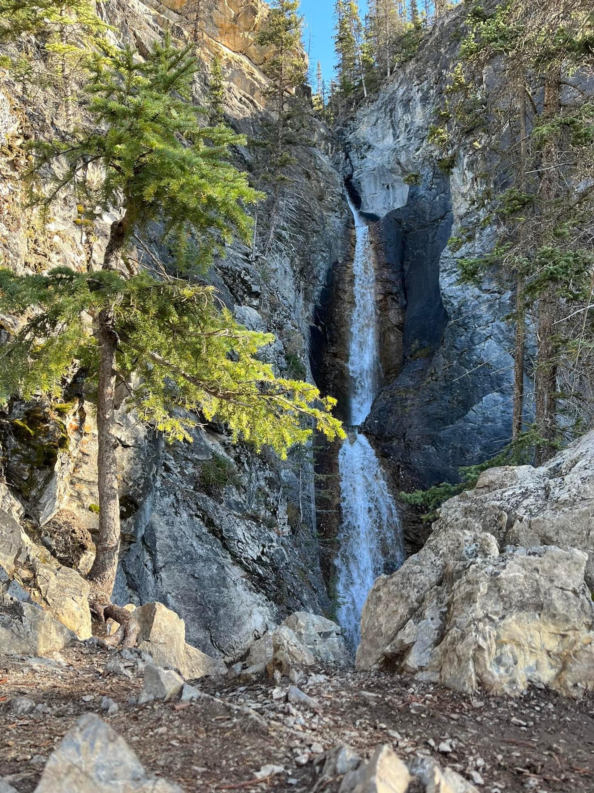 Tall waterfall flowing between rocky cliffs with trees around it at Silverton Falls.