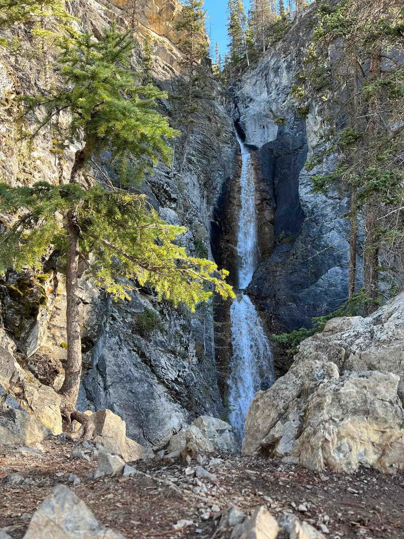 Tall waterfall flowing between rocky cliffs with trees around it at Silverton Falls.