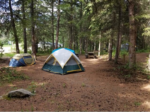 Forest campsite with two tents, picnic table, and tall trees in a shaded area.