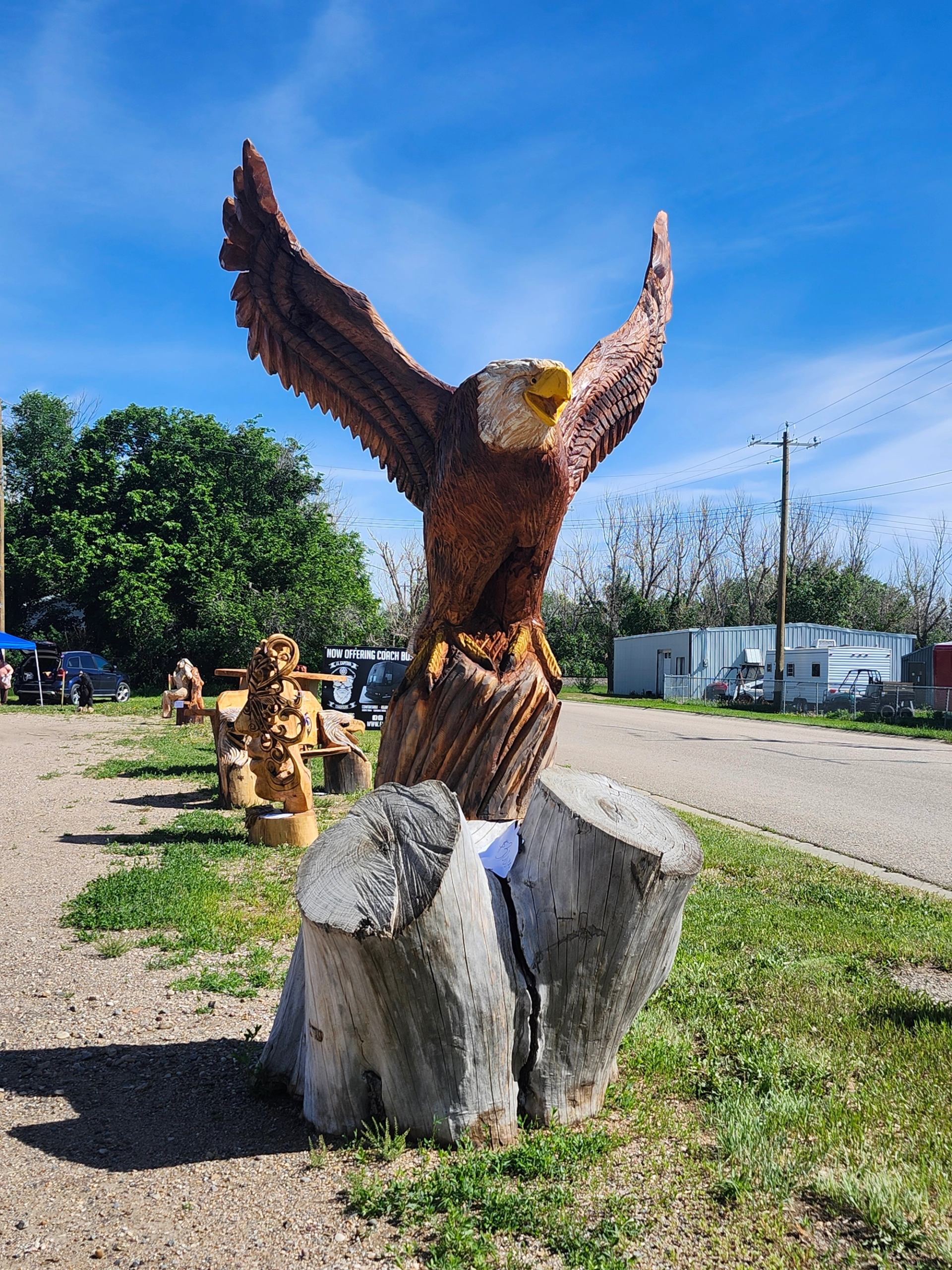 Large carved wooden eagle with spread wings on tree stump beside rural roadside.