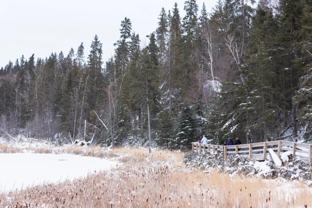 Group of people walking on a snow-covered bridge in a park at Kerry Wood Nature Centre in Red Deer