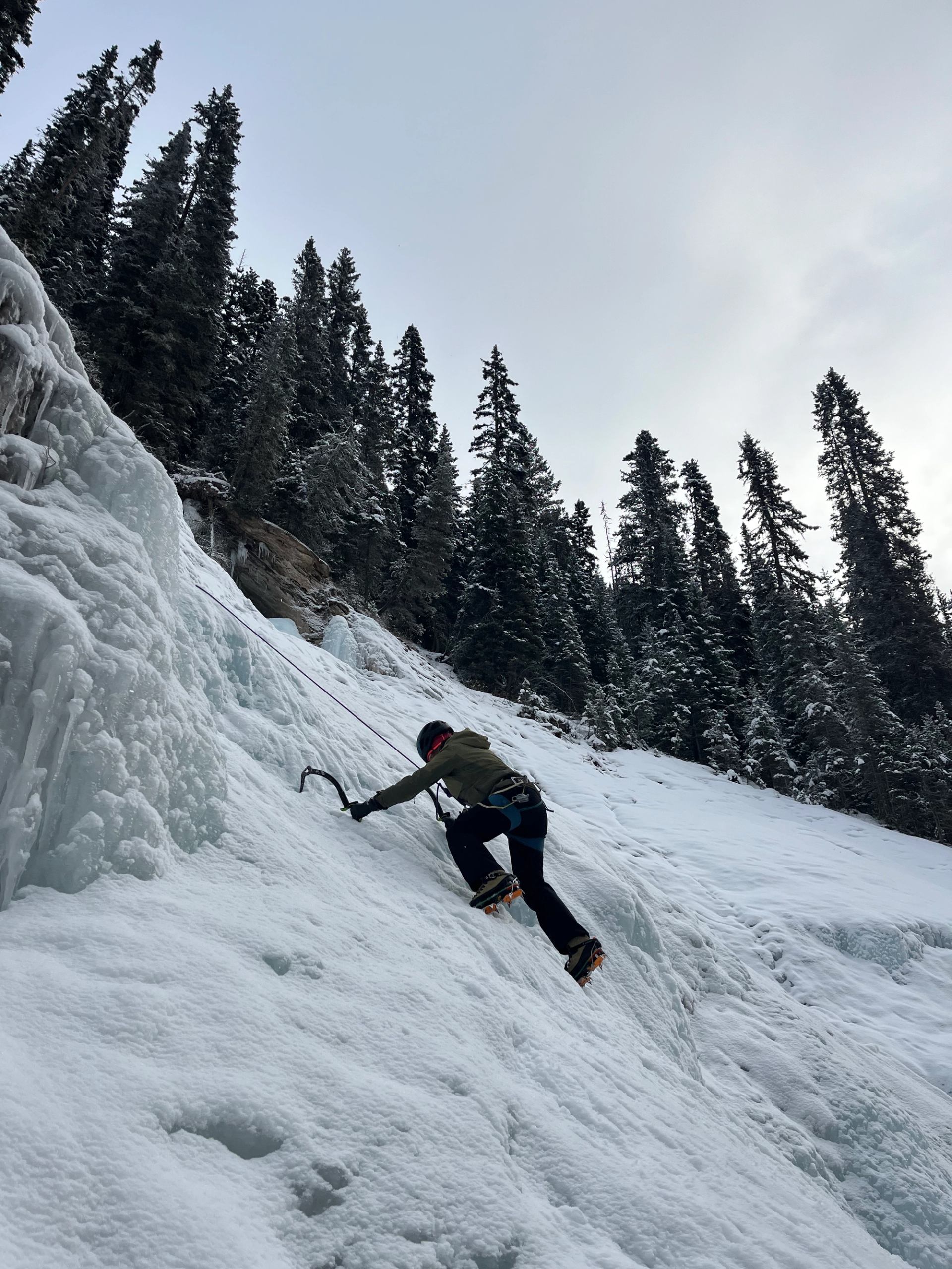 Person climbing a steep frozen waterfall using ice axes and crampons, surrounded by tall pine trees.