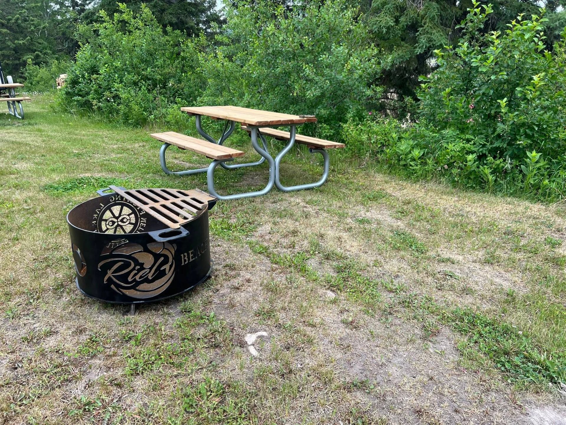 Metal fire pit and wooden picnic table on grassy area beside dense shrubs.